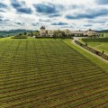 The Evolution of Winemaking in Lane County, Oregon