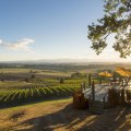 Exploring the Culinary Delights of Wineries in Lane County, Oregon