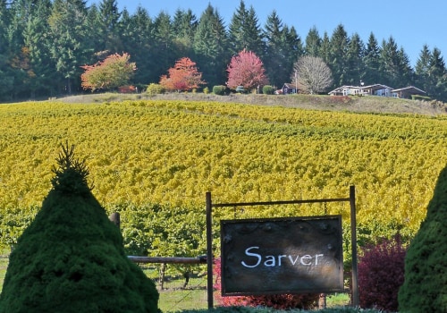 Exploring the Unique Wineries in Lane County, Oregon