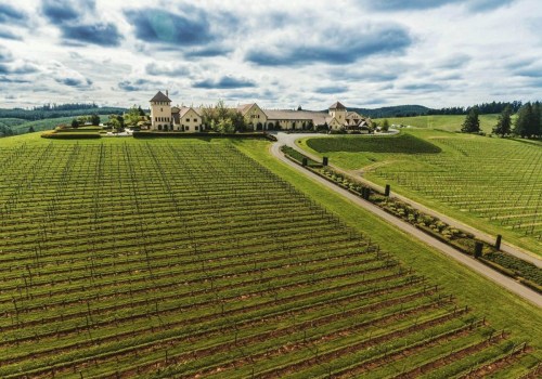 The Evolution of Winemaking in Lane County, Oregon