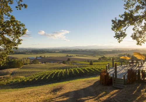 Exploring the Culinary Delights of Wineries in Lane County, Oregon